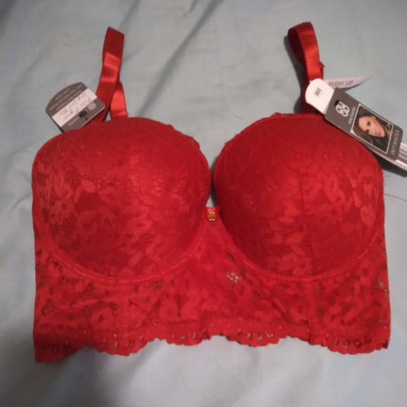 Daisy Fuentes Other - Daisy Fuentes Red lace Bralette